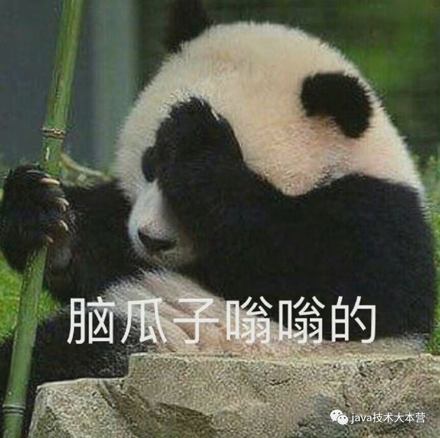 编程语言的学习方法|适合零基础初学者