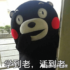 编程语言的学习方法|适合零基础初学者