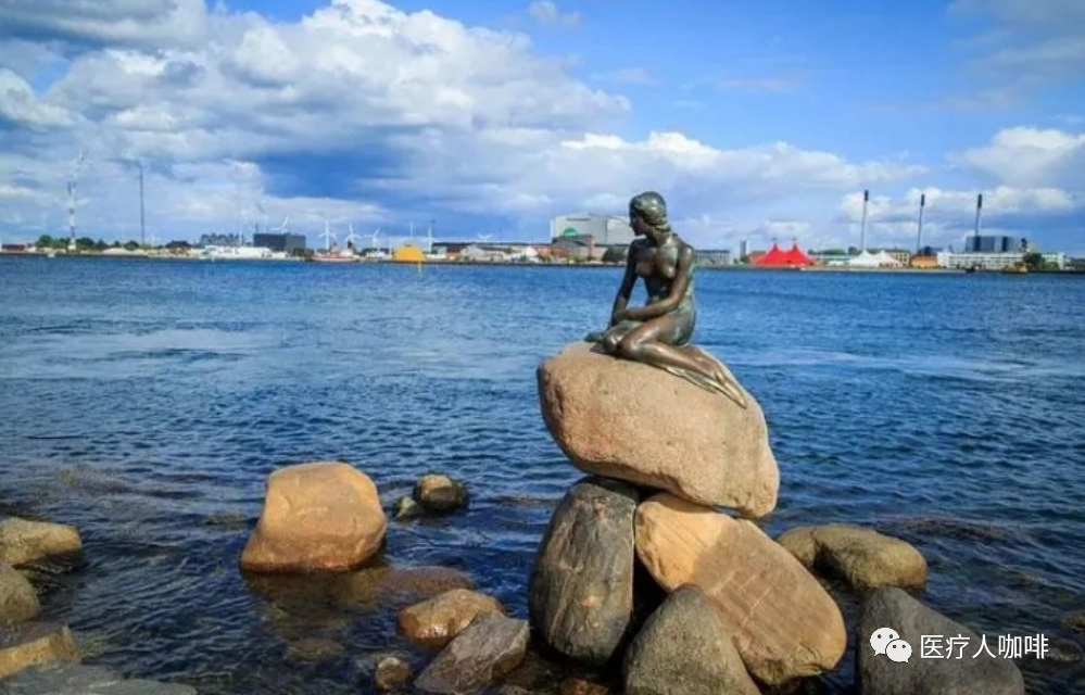 丹麦ambu怎么样全球最大一次性内窥镜公司裁员！_https://www.jmylbn.com_新闻资讯_第3张