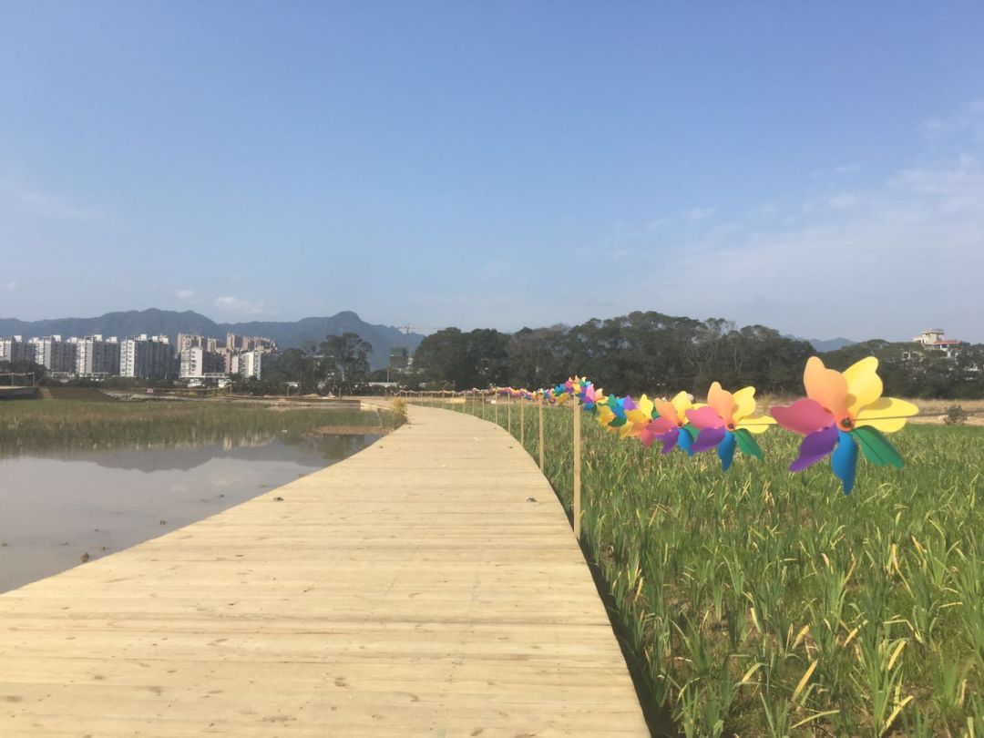 醉在连江的春光里!