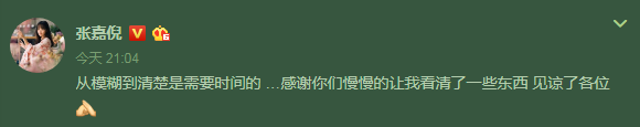 張嘉倪都黑成如許了，還出來騙人？ 娛樂 第8張