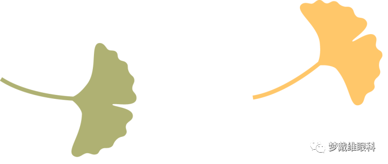 怎么测角膜直径眼生物测量仪-近视判断的金标准_https://www.jmylbn.com_新闻资讯_第15张