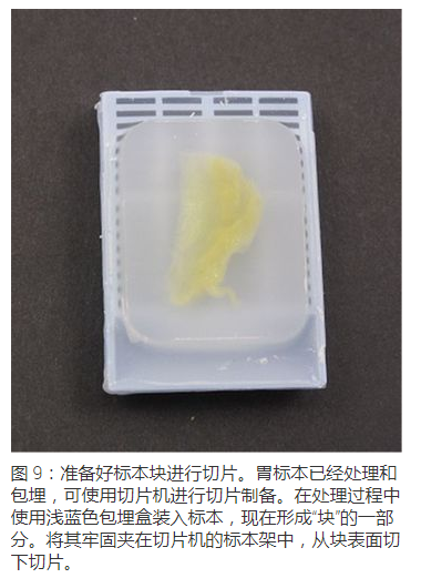 显微包有哪些Leica徕卡显微镜--标本制备简介_https://www.jmylbn.com_新闻资讯_第8张