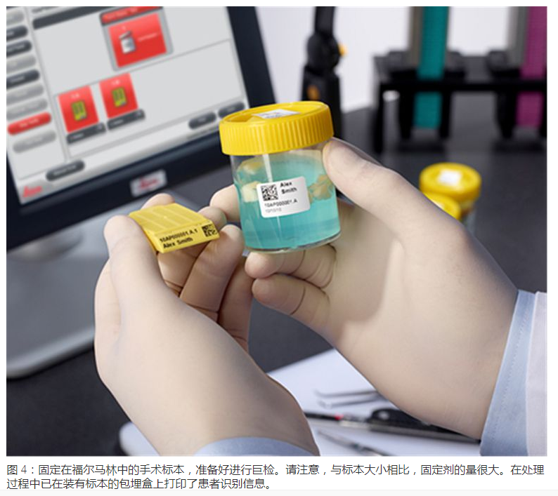 显微包有哪些Leica徕卡显微镜--标本制备简介_https://www.jmylbn.com_新闻资讯_第3张