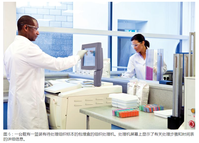 显微包有哪些Leica徕卡显微镜--标本制备简介_https://www.jmylbn.com_新闻资讯_第5张