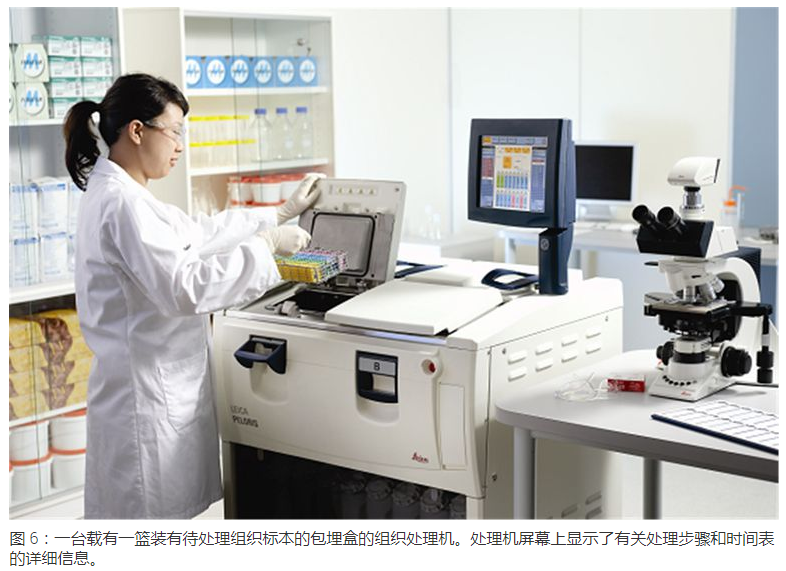 显微包有哪些Leica徕卡显微镜--标本制备简介_https://www.jmylbn.com_新闻资讯_第6张