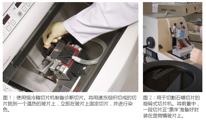 显微包有哪些Leica徕卡显微镜--标本制备简介_https://www.jmylbn.com_新闻资讯_第1张