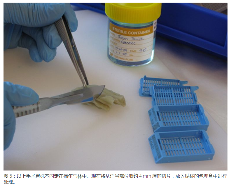 显微包有哪些Leica徕卡显微镜--标本制备简介_https://www.jmylbn.com_新闻资讯_第4张