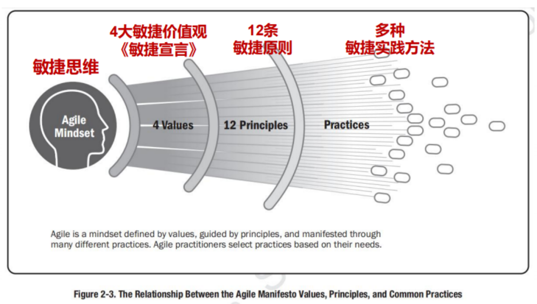 学完PMP之后，大厂还青睐有哪些证书的人才？