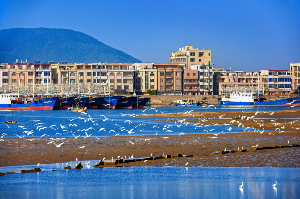 "魅力阳西,日新月异——我看阳西新发展"摄影大赛揭晓 -阳西县人民