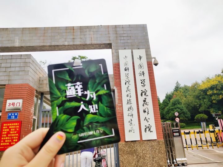 藓为人知 中科院一叙 哀牢山一站 实践的终站是新启程的有力踏板 绿科景观工作室 微信公众号文章阅读 Wemp