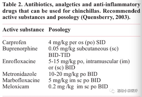 牙科骨凿怎么用龙猫的牙科病理学_https://www.jmylbn.com_新闻资讯_第12张