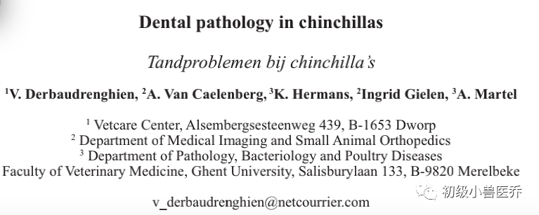 牙科骨凿怎么用龙猫的牙科病理学_https://www.jmylbn.com_新闻资讯_第1张