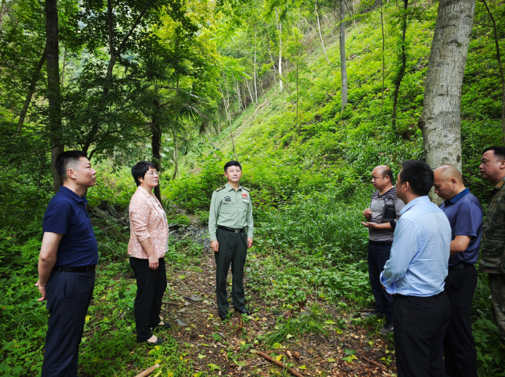 丁庆顺到武宁县开展巡林工作
