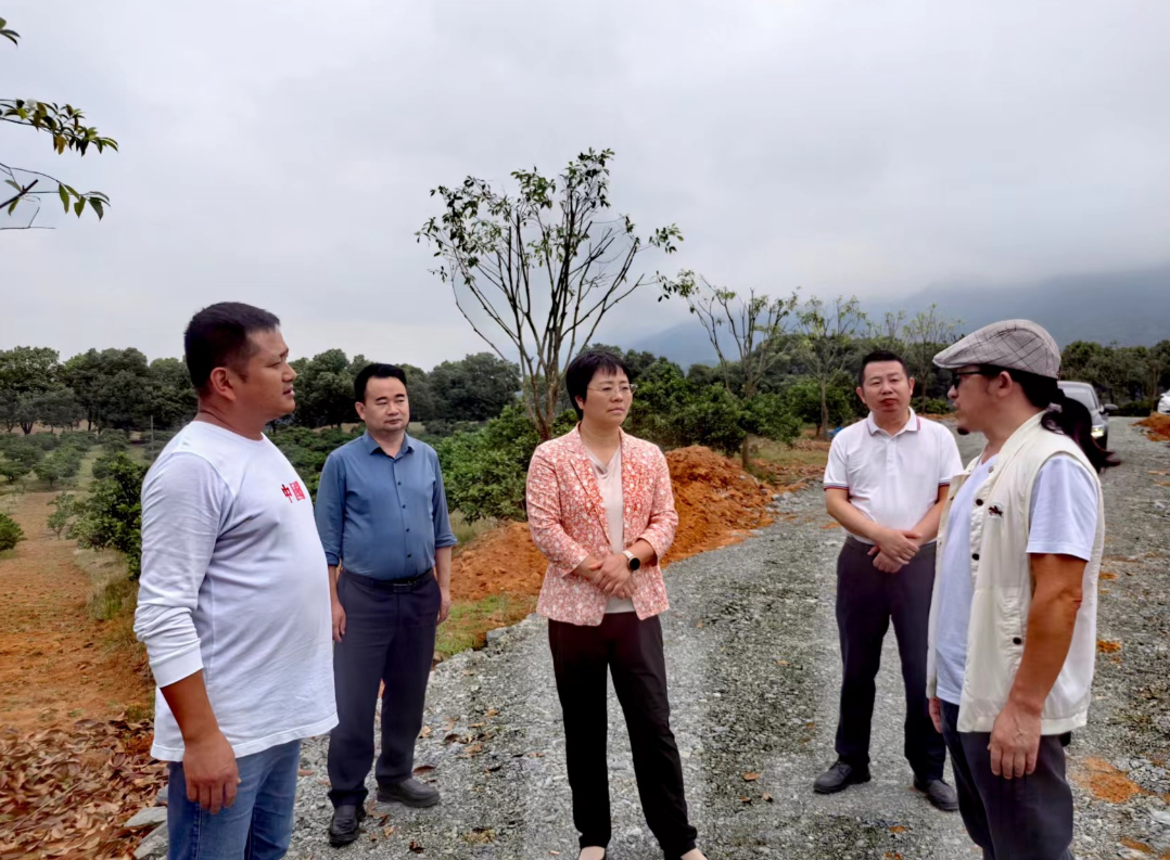 5月11日,县委书记洪碧霞深入罗坪镇关山村调研督导文化旅游攻坚行动