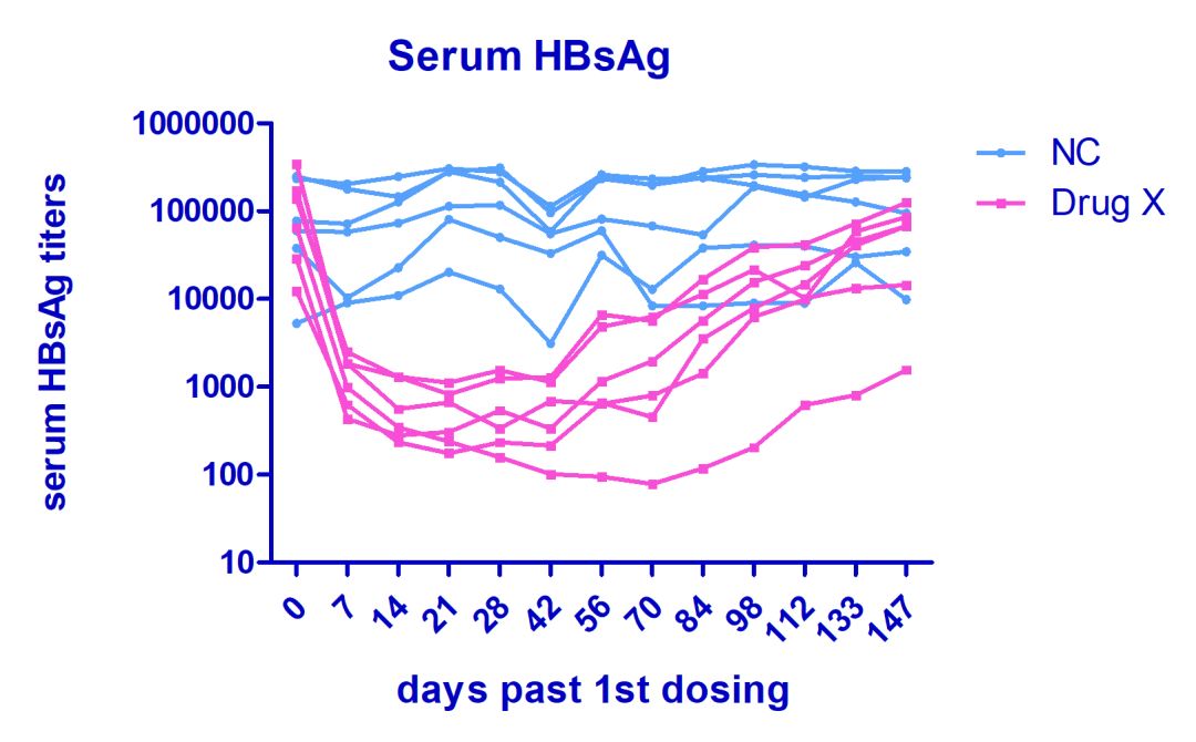 干货分享丨 HBV 动物模型解析