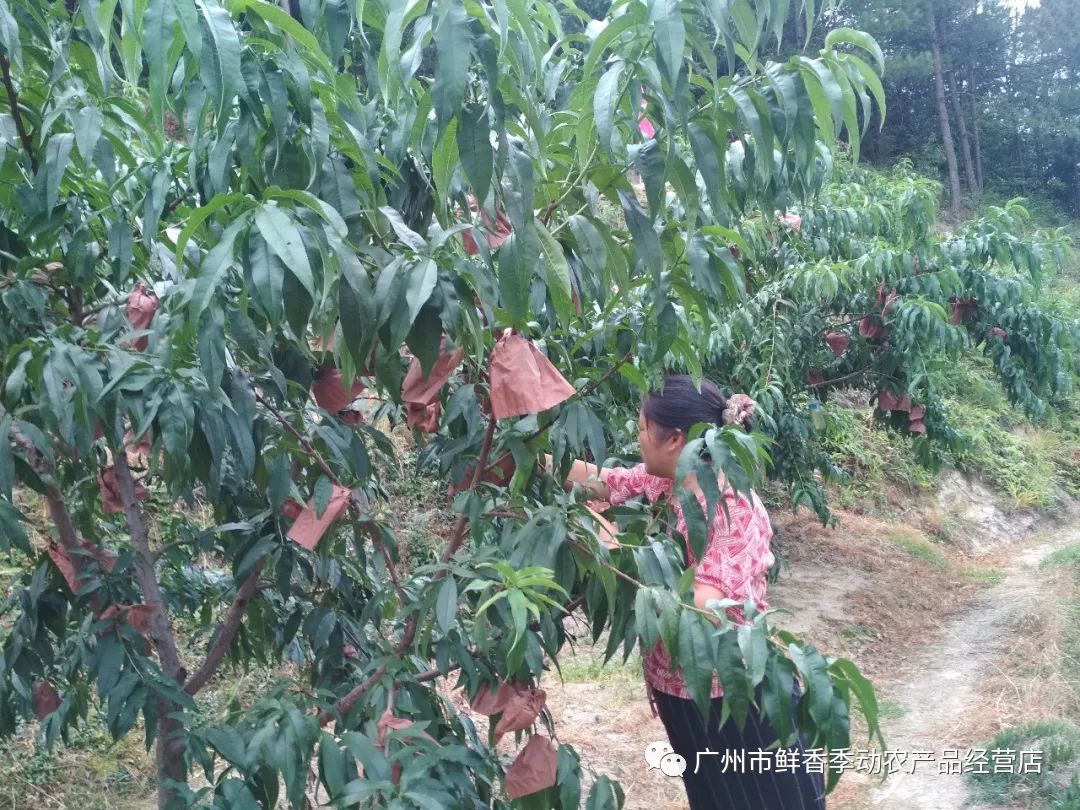 640?wx_fmt=png&tp=webp&wxfrom=5&wx_lazy=1&wx_co=1