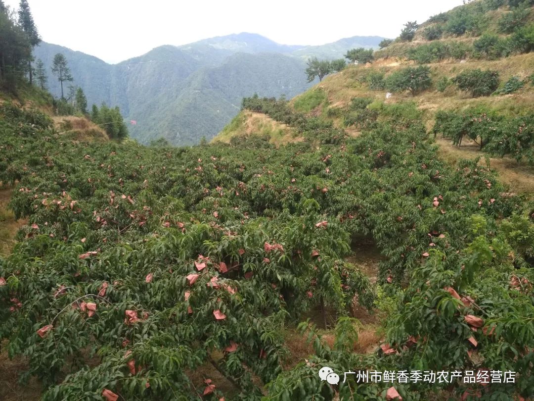 640?wx_fmt=png&tp=webp&wxfrom=5&wx_lazy=1&wx_co=1