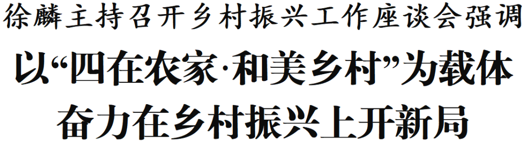 徐麟主持召開鄉(xiāng)村振興工作座談會