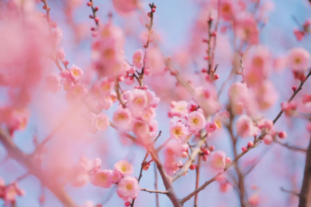 30eed56f21a5b1db95f13a52e211fb28.png