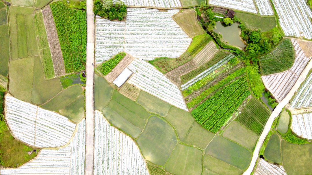 新时代新征程新伟业西燕镇四好农村路引领经济发展新活力