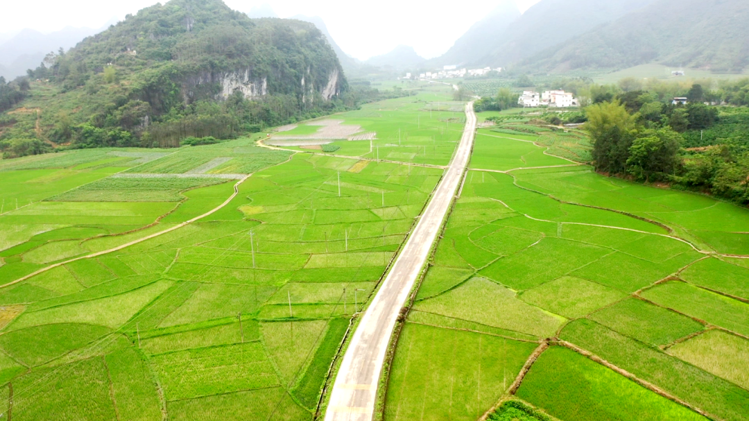 新时代新征程新伟业西燕镇四好农村路引领经济发展新活力