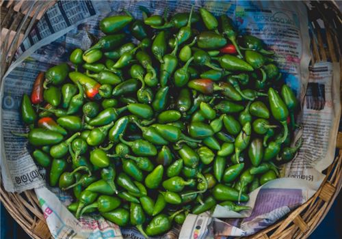 严辉文散文|秋辣椒的味道