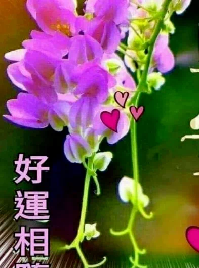 看淡生活就好的说说图片_看淡生活就好的说说图片_看淡生活就好的说说图片