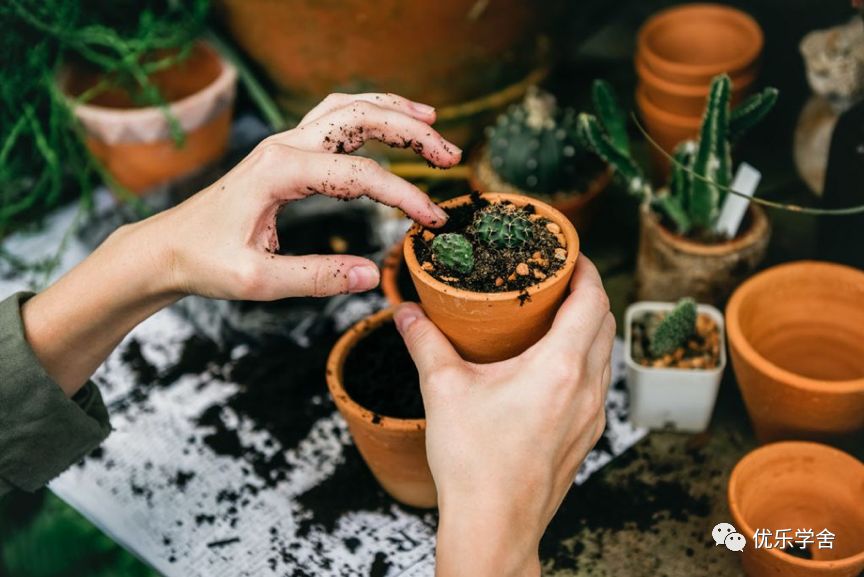 跨境电商,新手指南