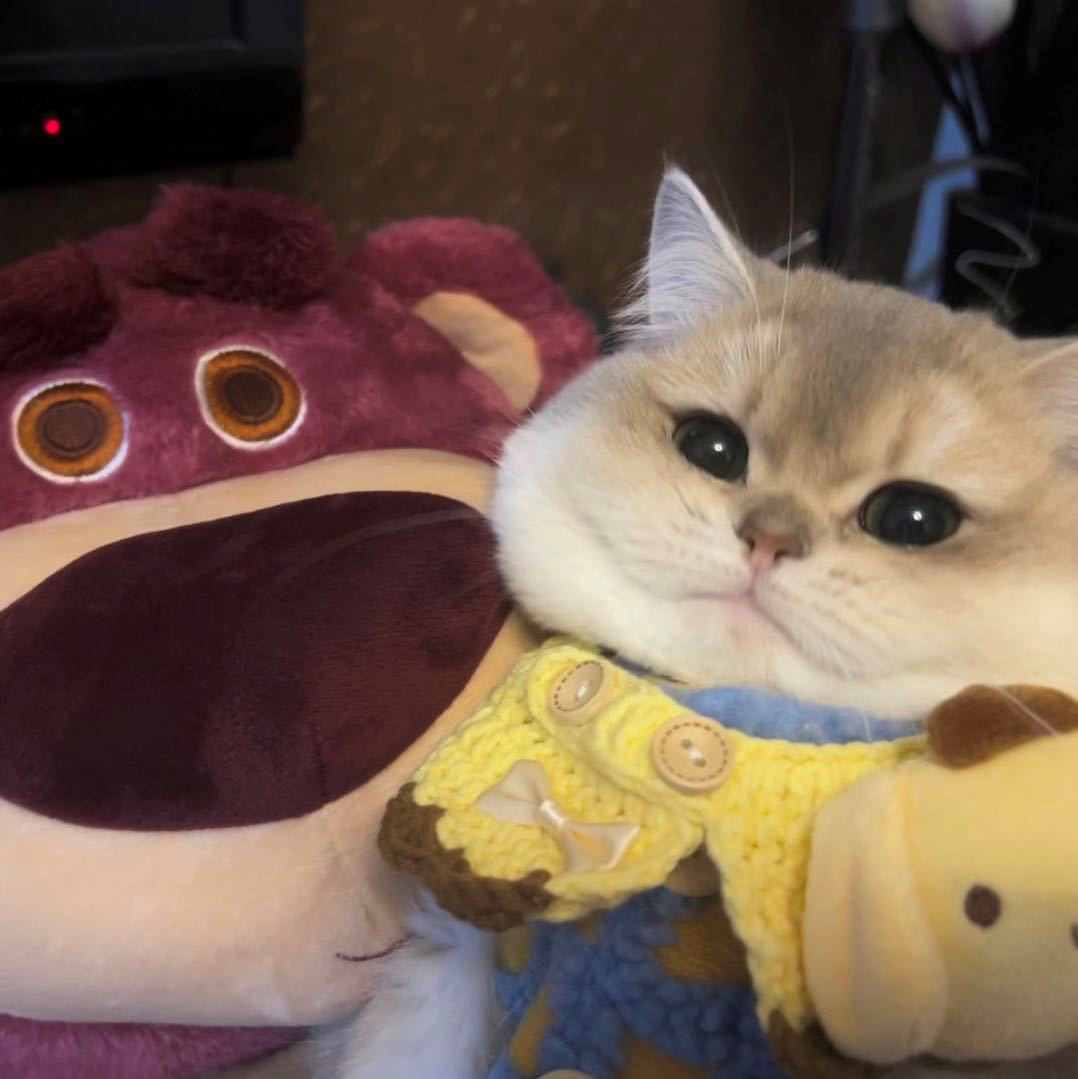 头像.png