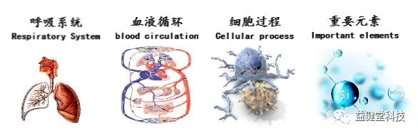 为什么人需要氧气【YJT·科普】人体是靠血液输送营养和氧气_https://www.jmylbn.com_新闻资讯_第3张
