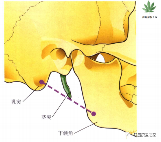 射频什么科【图文版】射频治疗技术疼痛科专家共识_https://www.jmylbn.com_新闻资讯_第7张