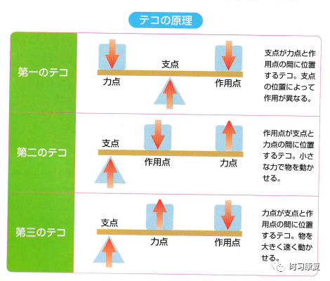 人体运动的杠杆是 人体运动的杠杆是 百泓网