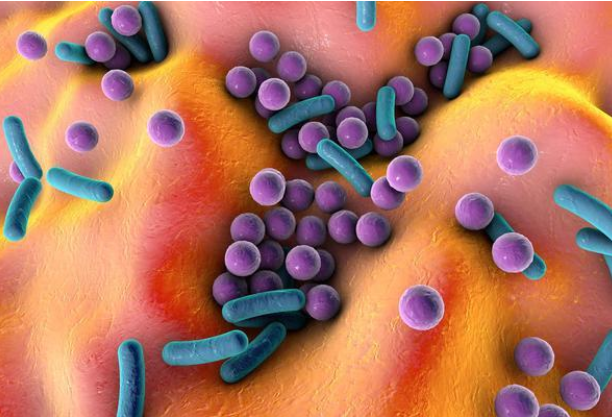 什么口罩防病毒防风防霾防病毒，该选啥子口罩你一定很纠结！_https://www.jmylbn.com_新闻资讯_第34张