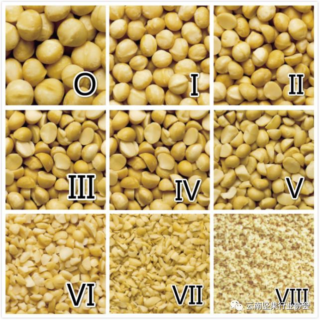 2018年第八届国际澳洲坚果大会