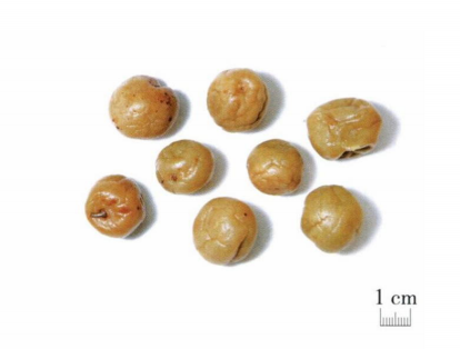 望梅止渴青梅煮酒梅子故事多它还能入药