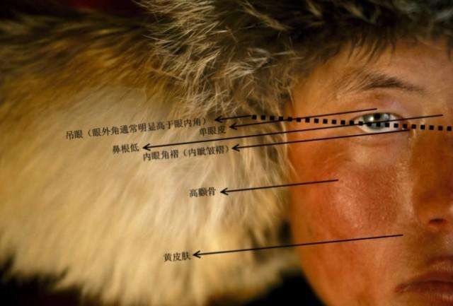 世上本无黄种人:东方人是如何失去白皮肤的?