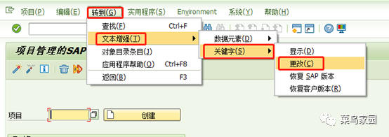 干货 SAP 业务顾问也会的增强标准字段文本修改的4种方法 - 封面图