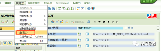 干货 SAP 业务顾问也会的增强标准字段文本修改的4种方法 - 封面图