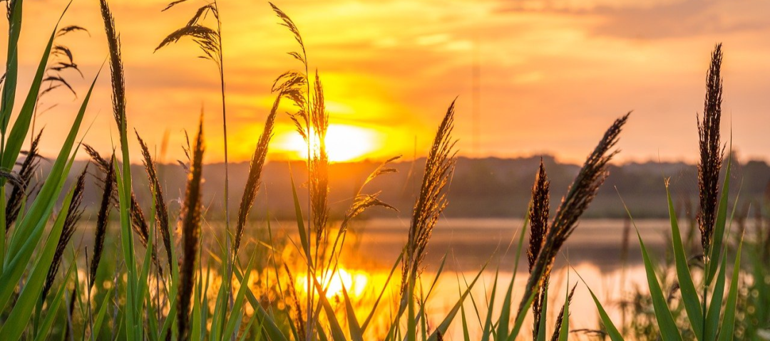 导尿袋什么导尿袋的尿液突变紫色，一查竟然是……_https://www.jmylbn.com_新闻资讯_第1张