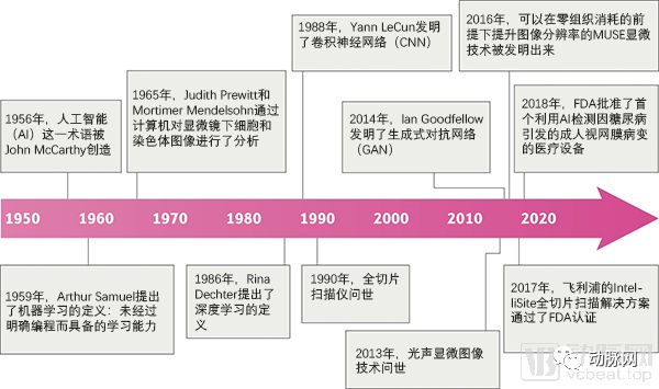 今年14起融資，數字病理正在進入快車道，AI將重構產業