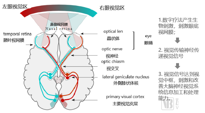 resmed公司怎么样《2022年数字疗法行业研究报告》：行业处于早期阶段，商业繁荣应紧抓国家卫生健康事业发展机遇——基于三大领域数字疗法企业案例分析_https://www.jmylbn.com_新闻资讯_第6张
