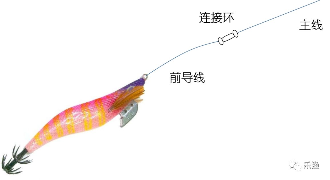 最全的木虾钓墨鱼你值得拥有