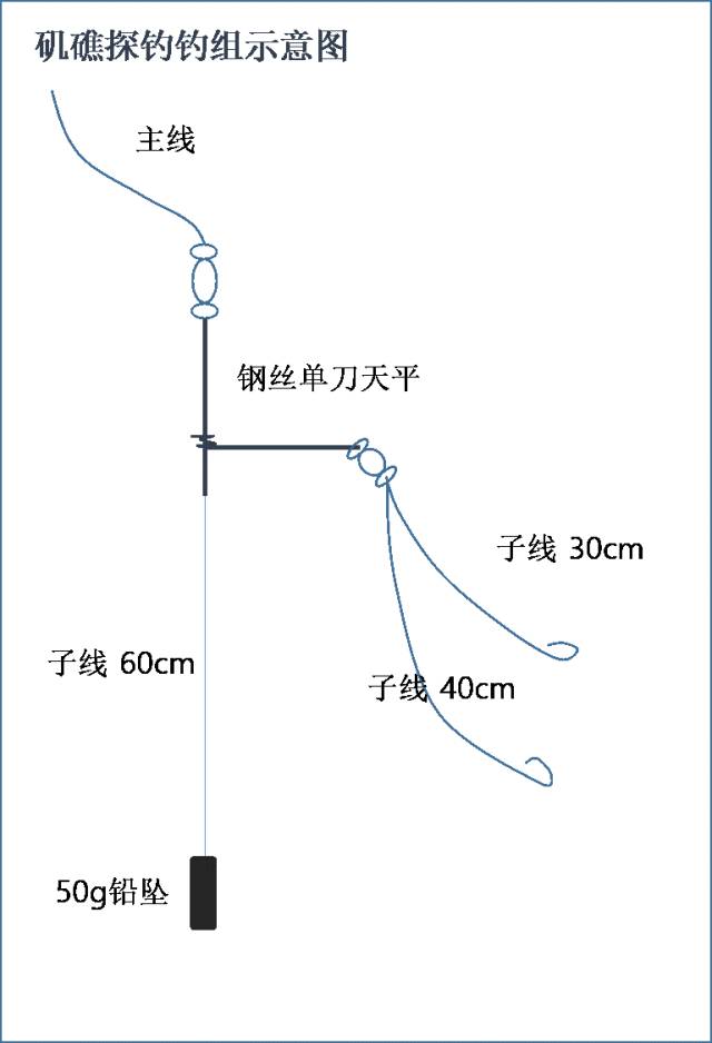 课堂·海钓钓黑头?这份攻略就把所有钓法细节都说透了