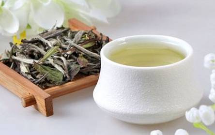 为什么秋天要多喝白茶养生？