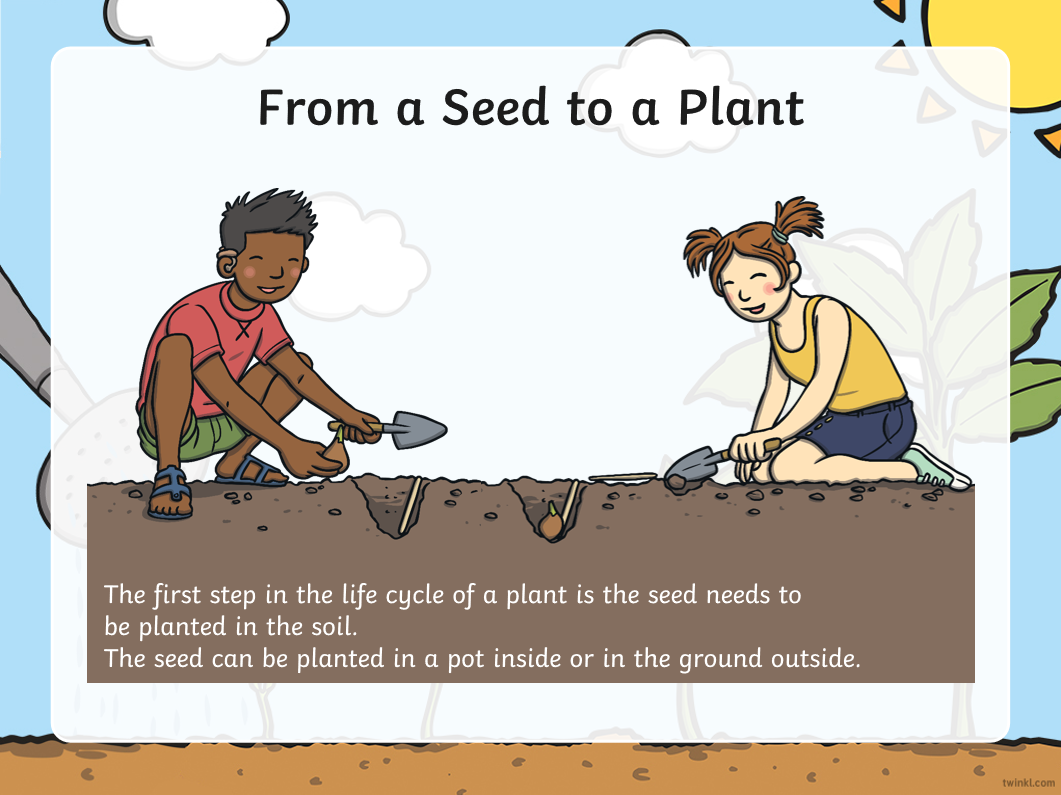 免费资源：Twinkl儿童科普大合集！PPT课件+精美练习纸，自然实践满分