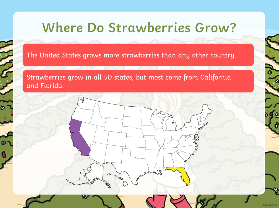 免费资源：Twinkl儿童科普大合集！PPT课件+精美练习纸，自然实践满分