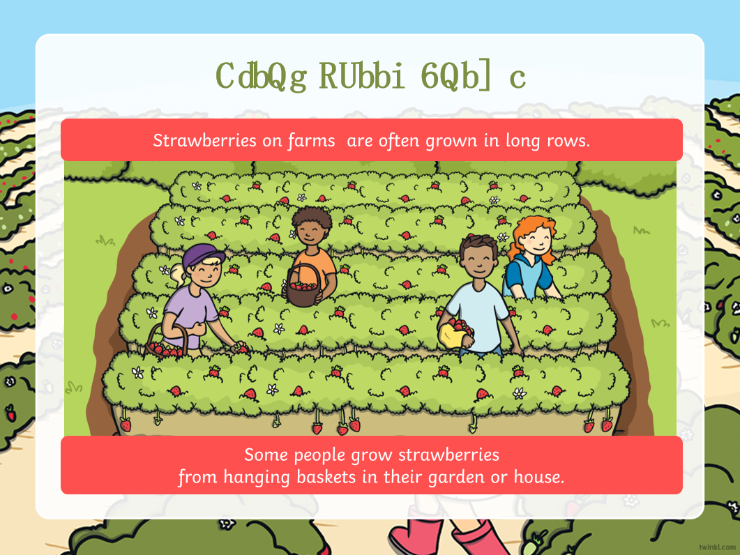 免费资源：Twinkl儿童科普大合集！PPT课件+精美练习纸，自然实践满分