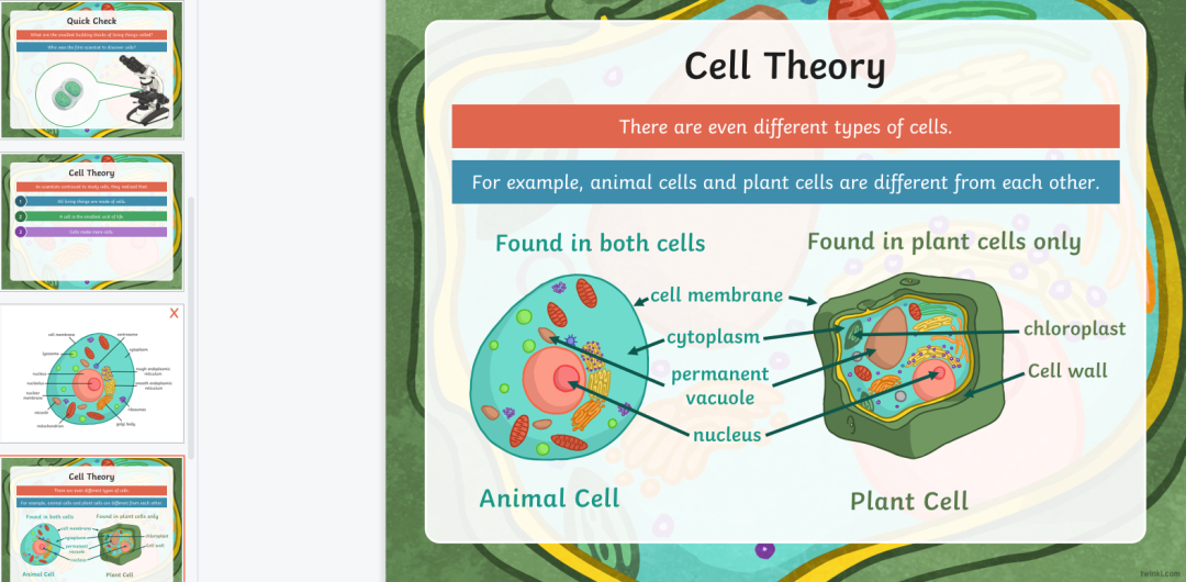 免费资源：Twinkl儿童科普大合集！PPT课件+精美练习纸，自然实践满分
