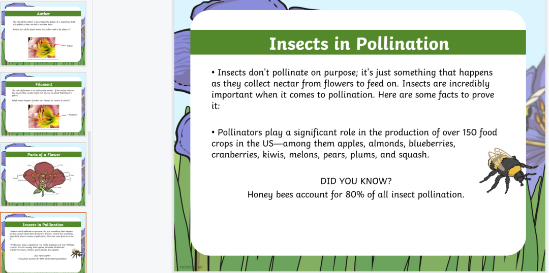 免费资源：Twinkl儿童科普大合集！PPT课件+精美练习纸，自然实践满分